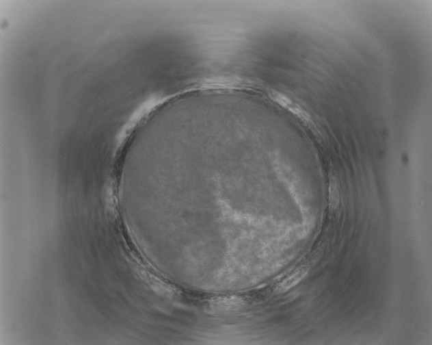 X0000073451454200608111338