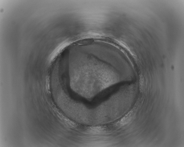 X0000073451455200608111338