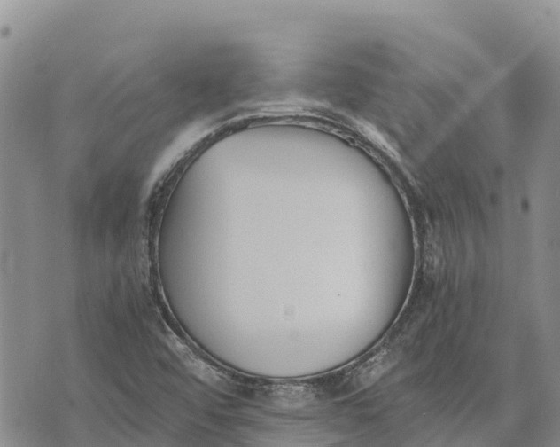 X0000073451456200608111338