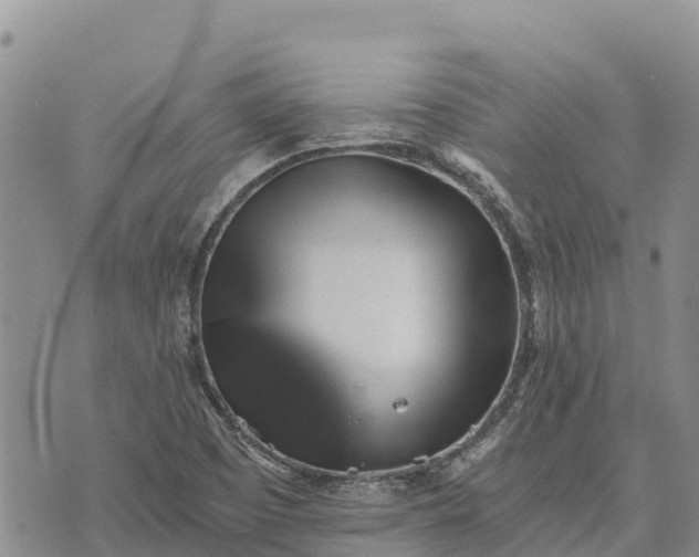 X0000073451457200608111338