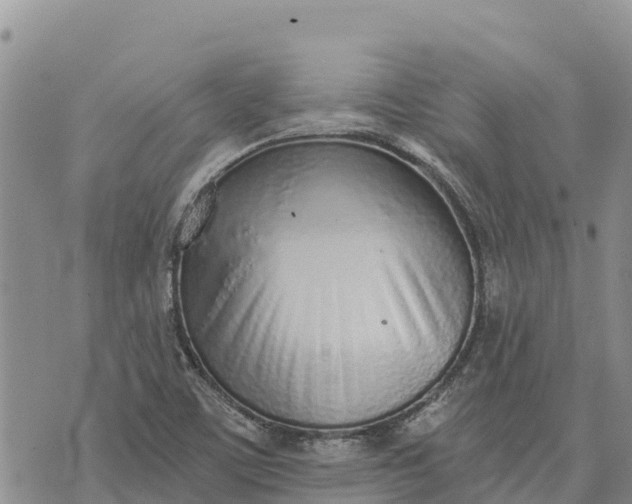 X0000073451459200608111338