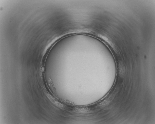 X0000073451460200608111338