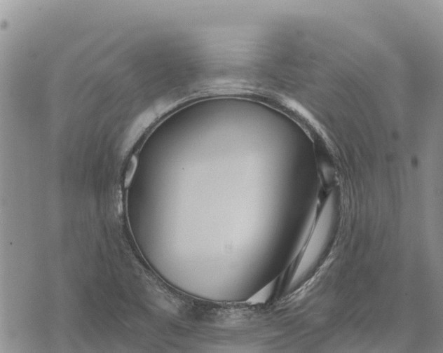 X0000073451461200608111338