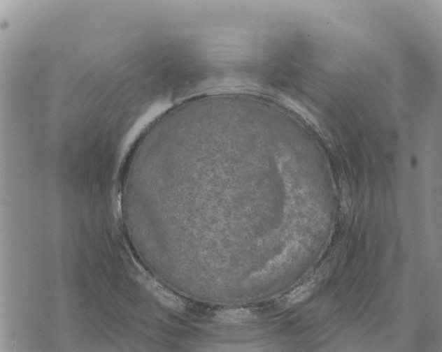 X0000073451462200608111338