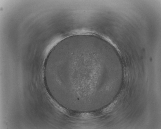 X0000073451463200608111338