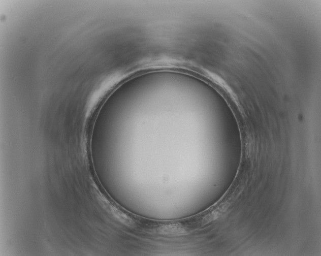 X0000073451464200608111338