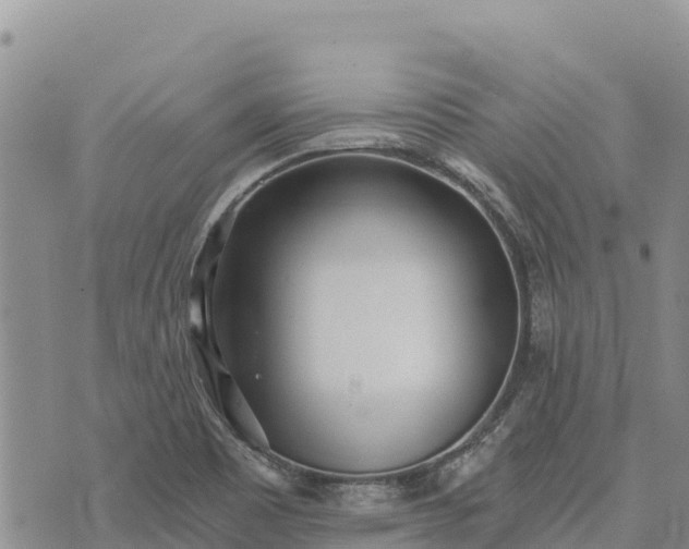 X0000073451465200608111338