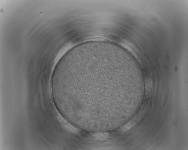 X0000073451466200608111338