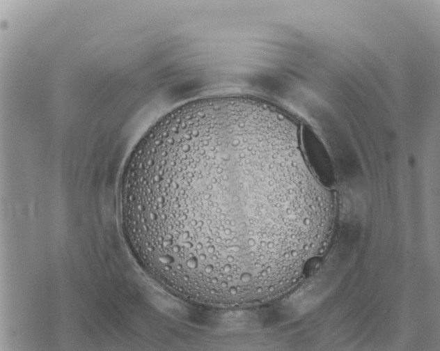 X0000073451467200608111338