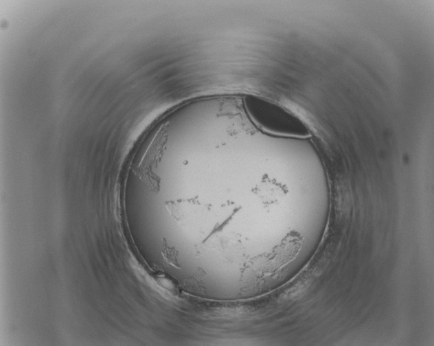 X0000073451468200608111338