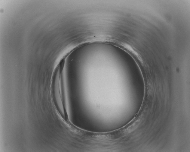 X0000073451469200608111338