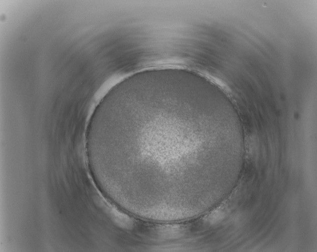 X0000073451470200608111338