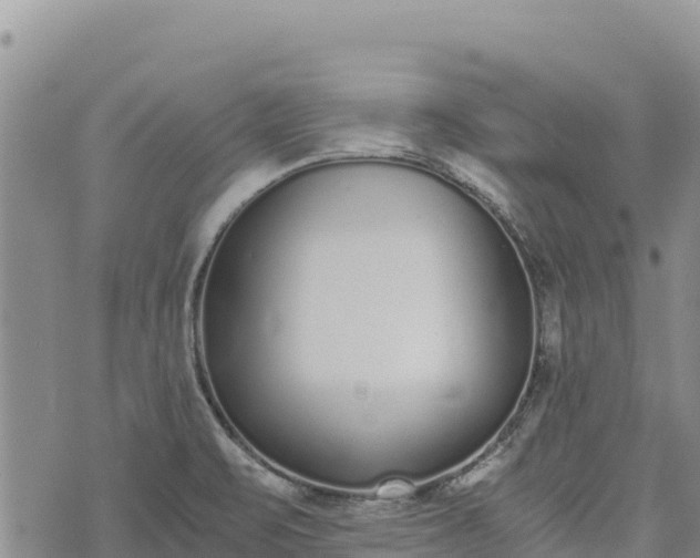 X0000073451471200608111338