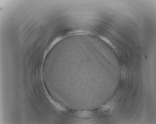 X0000073451474200608111338