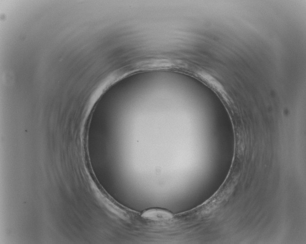 X0000073451475200608111338