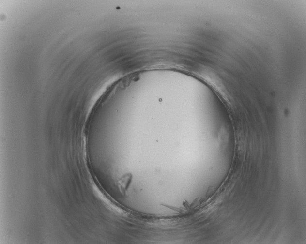 X0000073451476200608111338