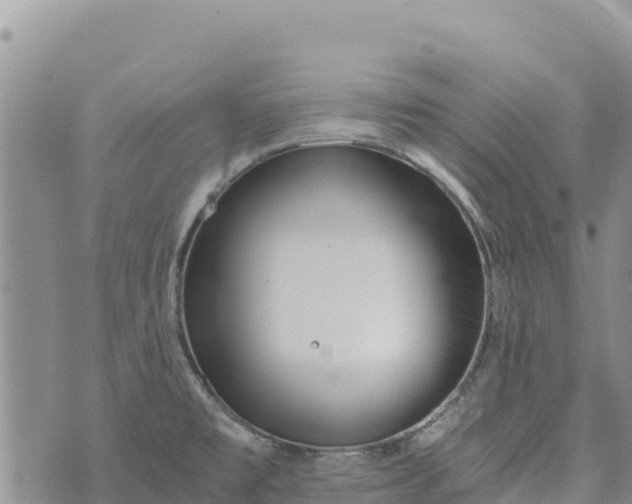 X0000073451477200608111338