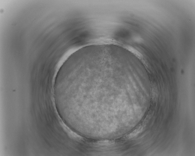 X0000073451478200608111338