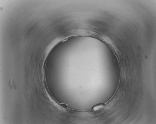 X0000073451479200608111338