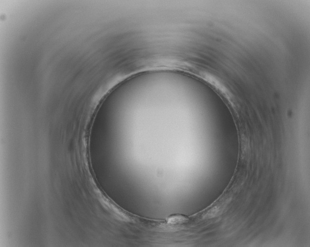 X0000073451480200608111338