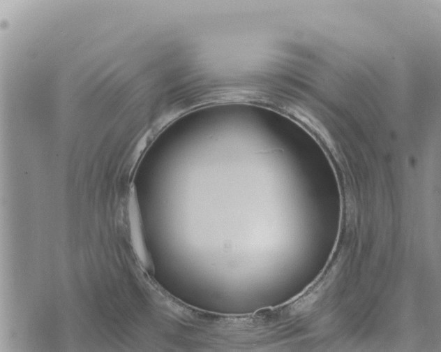 X0000073451481200608111338