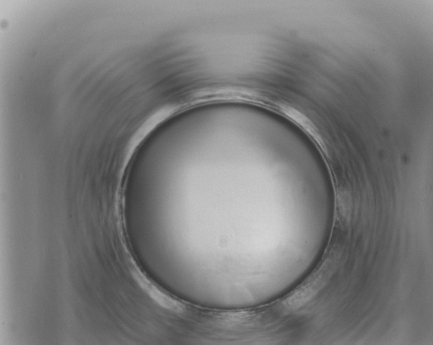 X0000073451482200608111338