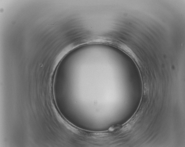 X0000073451483200608111338