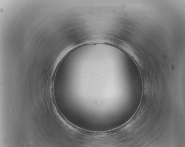 X0000073451484200608111338