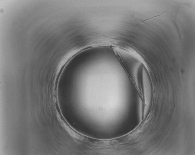 X0000073451485200608111338