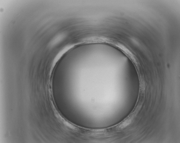 X0000073451486200608111338