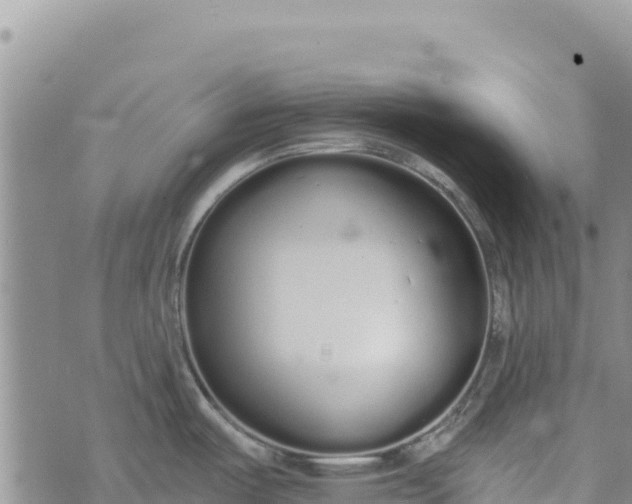 X0000073451487200608111338