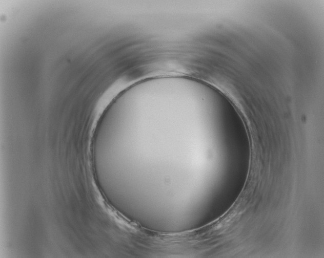 X0000073451488200608111338