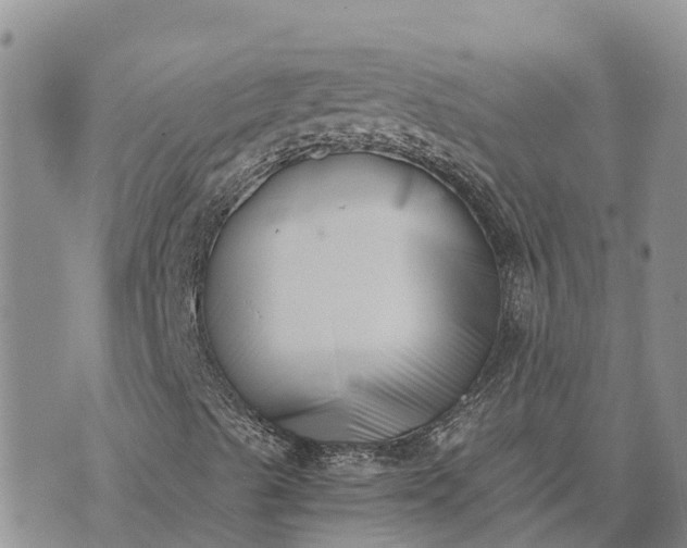 X0000073451489200608111337