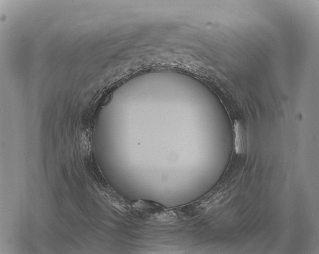 X0000073451491200608111337