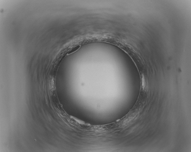 X0000073451492200608111337