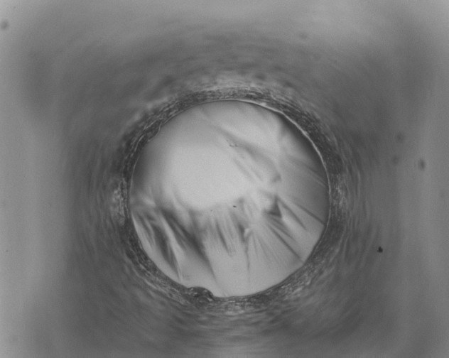 X0000073451493200608111337