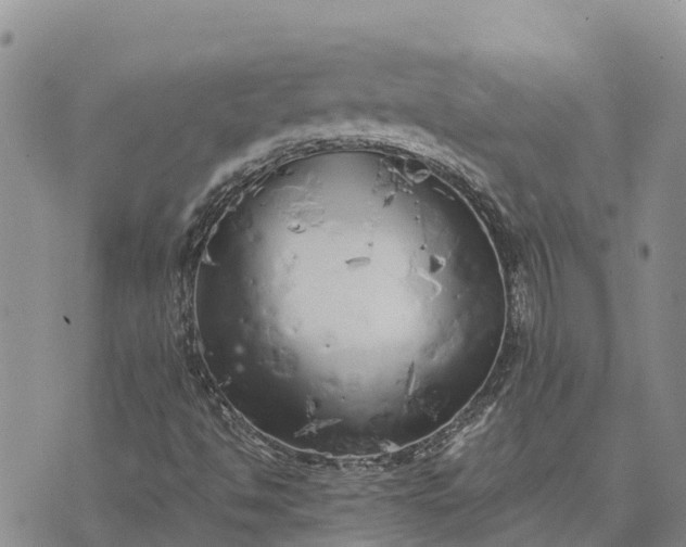 X0000073451494200608111337