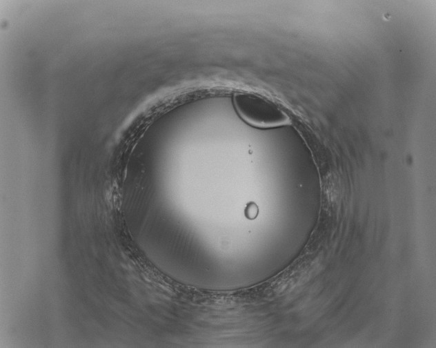 X0000073451495200608111337