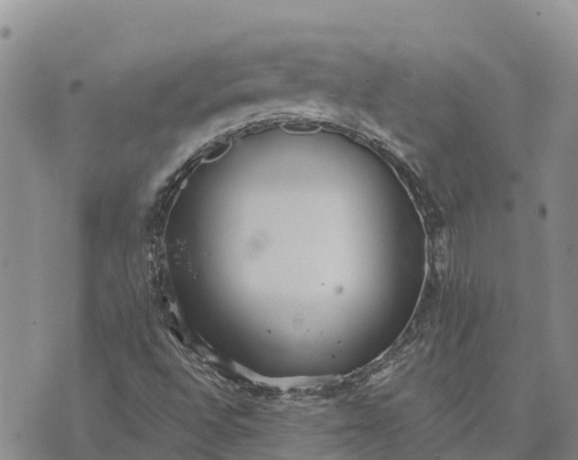 X0000073451496200608111337