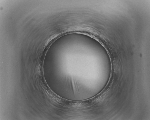 X0000073451497200608111337