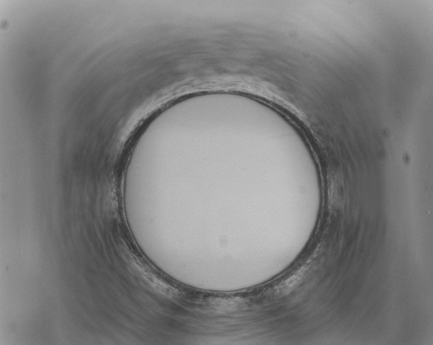 X0000073451498200608111337