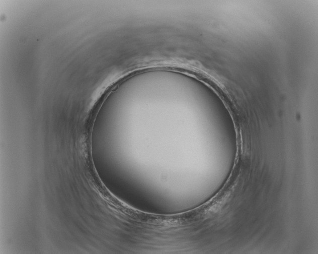 X0000073451501200608111337