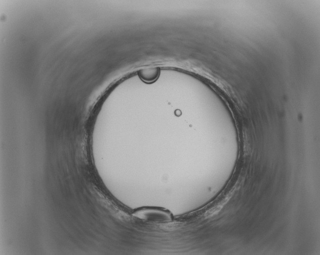 X0000073451502200608111337