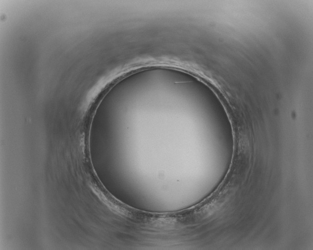 X0000073451503200608111337