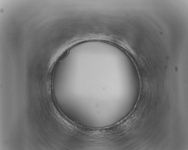 X0000073451504200608111337