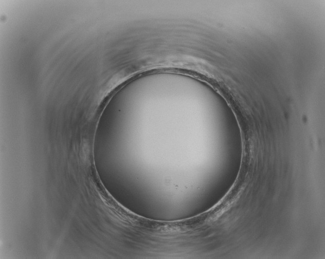 X0000073451505200608111337