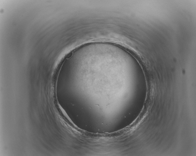 X0000073451506200608111337