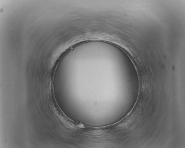 X0000073451507200608111337