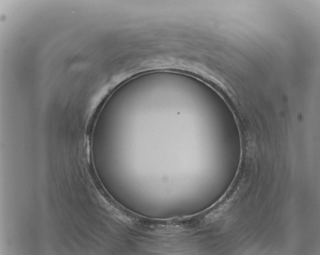 X0000073451509200608111337