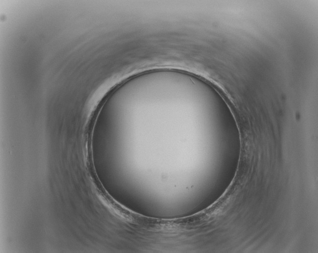 X0000073451511200608111337